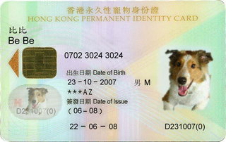 20080622_d58cdf96fd30319bd3cafkjP9NLdQ8hL.jpg